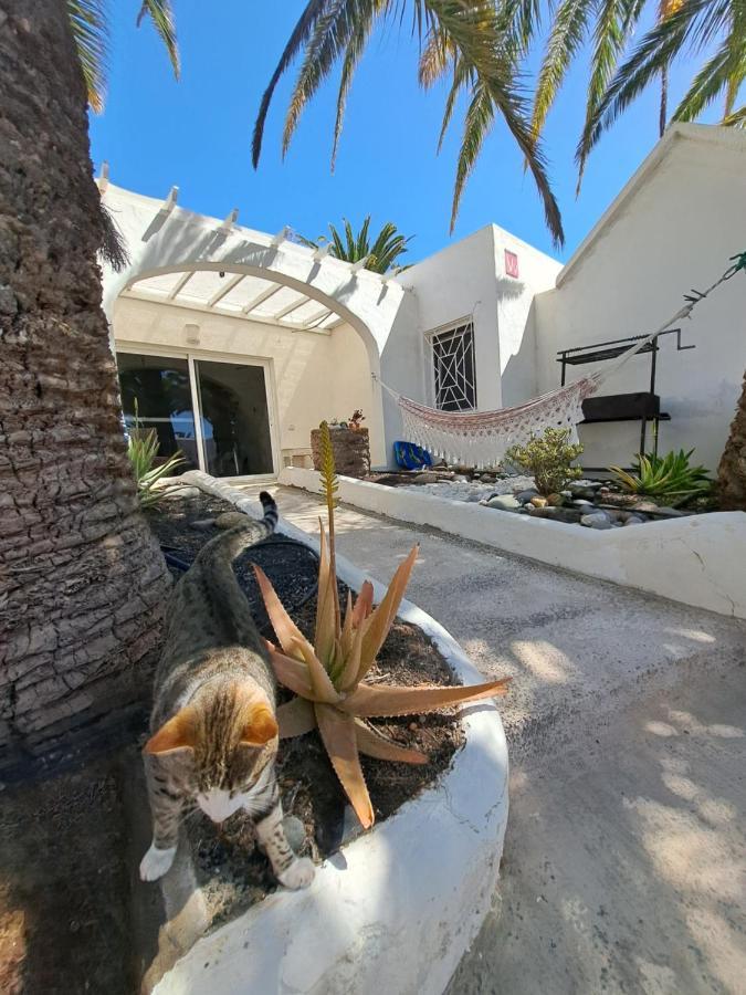 Palm Point Apartamento Costa Calma Exterior foto